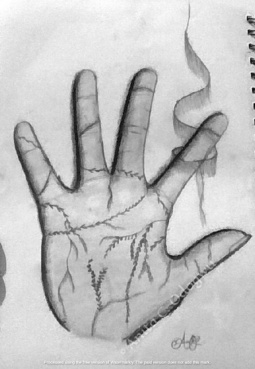 Surreal graphite drawing of a human palm with conceptual tree branches for paml creases by Anita C. Odogwu